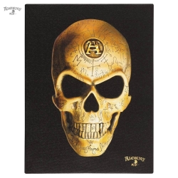 Mały Obraz Czaszka - Omega Skull Canvas Plaque by Alchemy